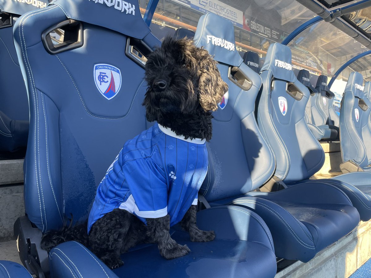 Lola loving the new kit and bandana