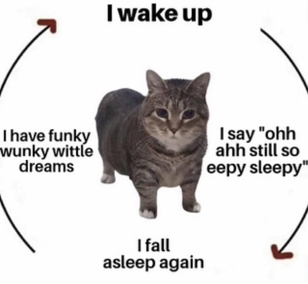 I wake up