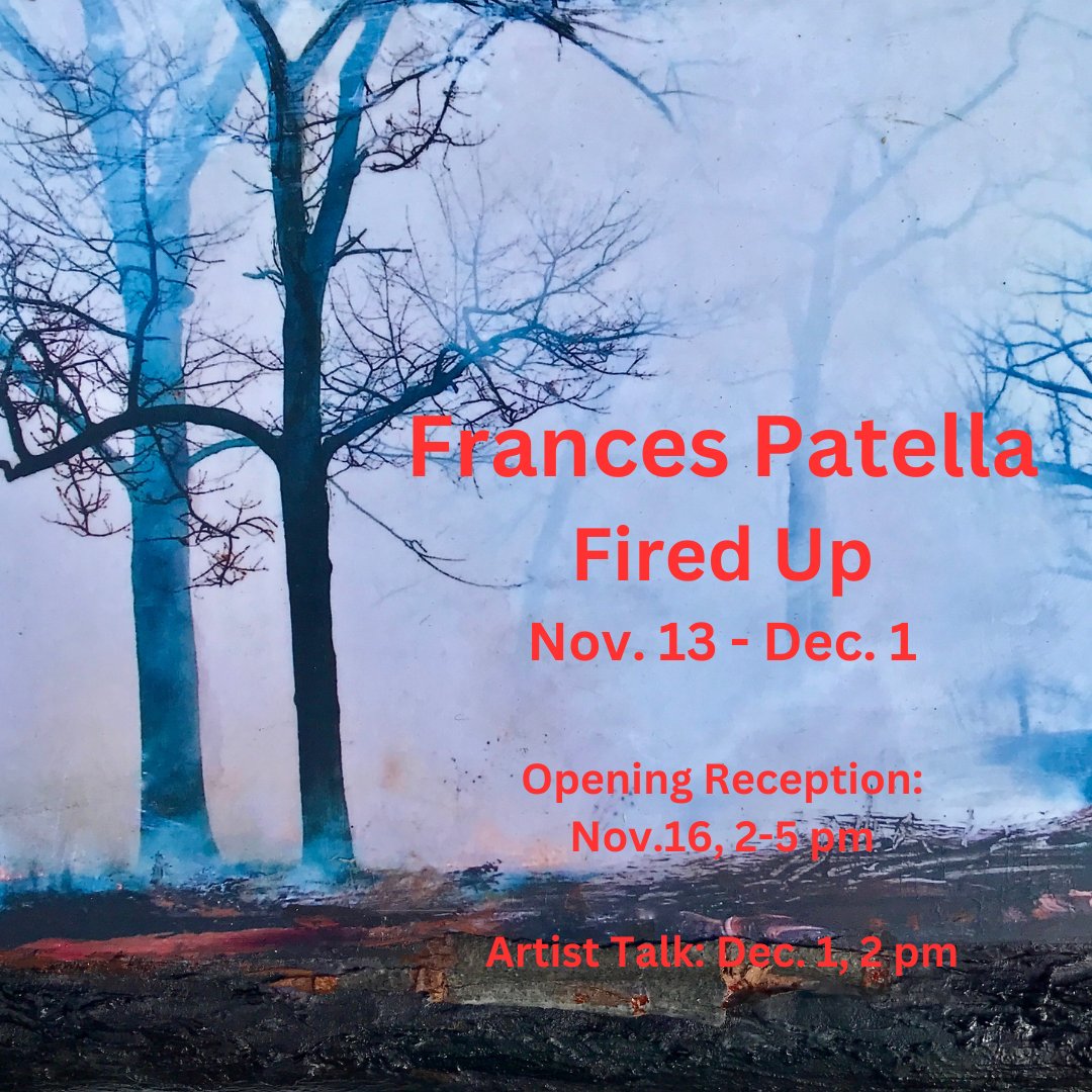Fired Up | Frances Patella | Continuing at Propeller Art Gallery, one of the oldest artist-run galleries in Toronto, Canada.  propellerartgallery.com/exhibitions/fi…