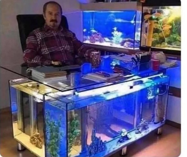 El que se especializó en Derecho Marítimo.