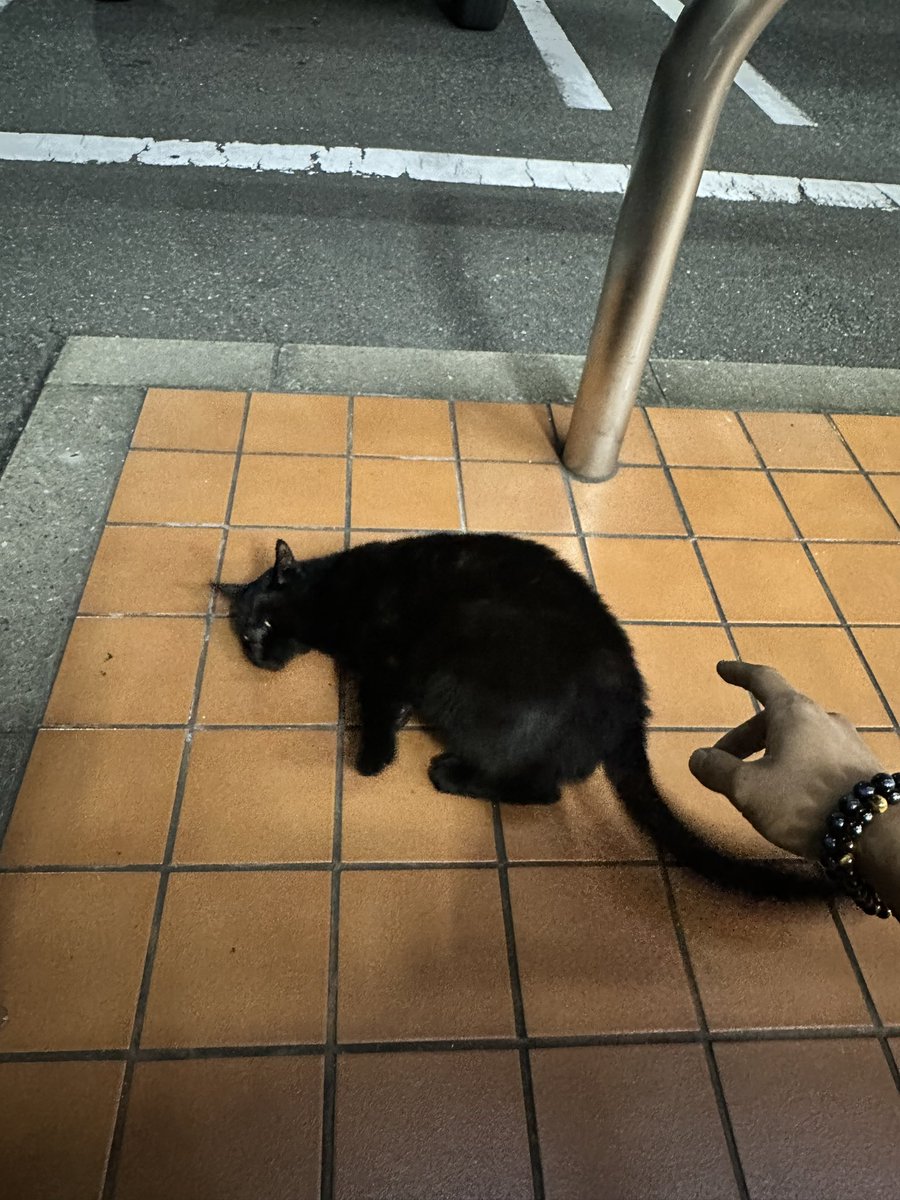 shiro8899's tweet photo. 輩に絡まれたwww https://t.co/r4vtRNSpRX