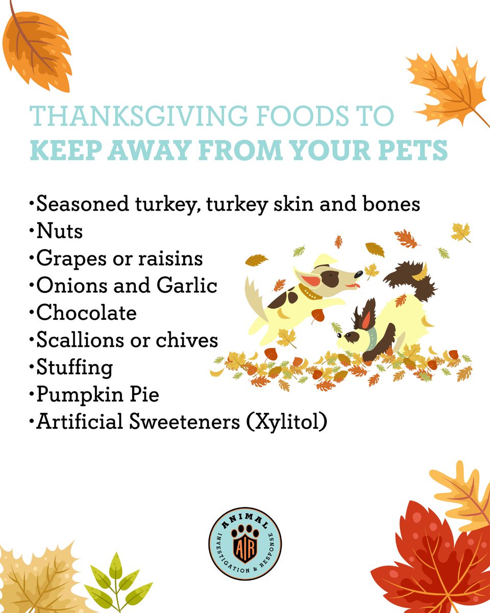 🦃🐾 #Thanksgiving Feasts Aren't for Fido! 🐾🦃

As we enjoy our holiday meals, let’s make sure our pets are kept safe from dangerous foods 🙅‍♀️

Remember: a healthy pet is a happy pet! Stick to their regular diet, and they’ll enjoy the holiday just as much as you do. 🐾❤️