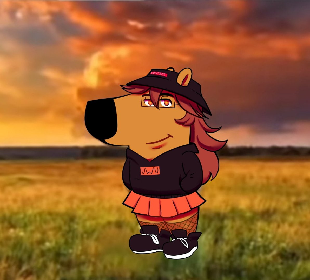 Pina ☕ tweet media