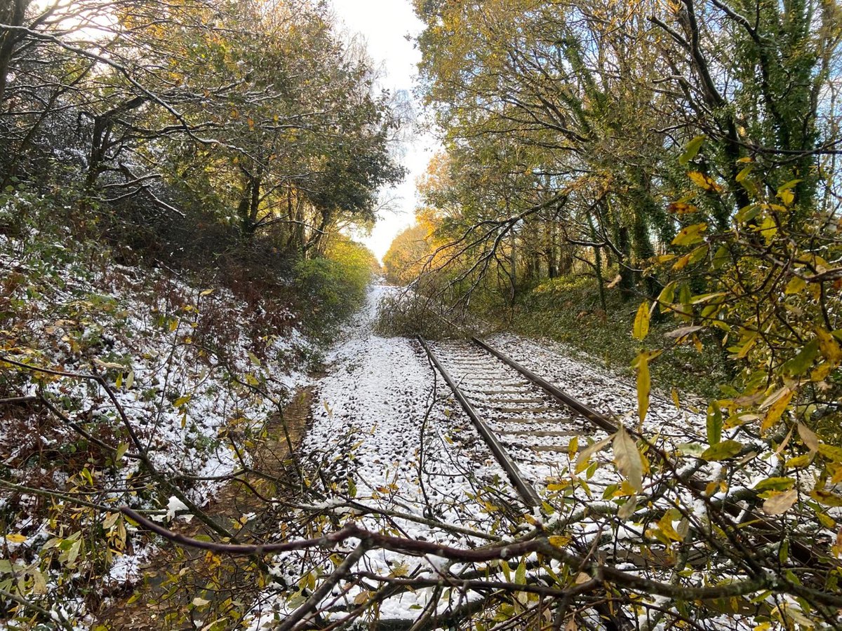 Network Rail Western tweet media