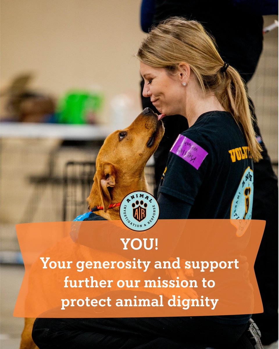 We're incredibly grateful for our amazing volunteers and generous supporters! Your dedication and kindness make our work possible, and together, we’re making a real difference for animals.

From our AIR family to yours,  we’re wishing everyone a warm and joyful #Thanksgiving!