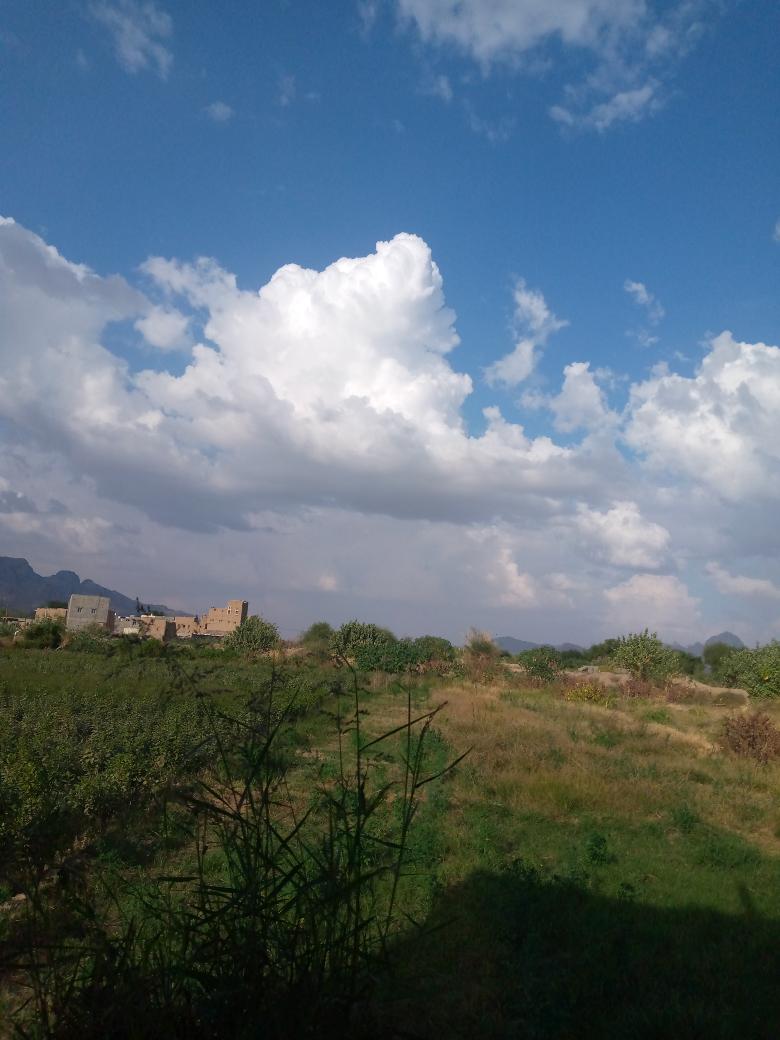 شهدت بيحان اليوم أمطار خفيفة