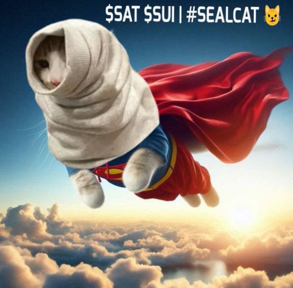 sealcatsui's tweet photo. GM GM GM! $SAT is STILL the ticker! $SUI https://t.co/PRSAnfmNFs