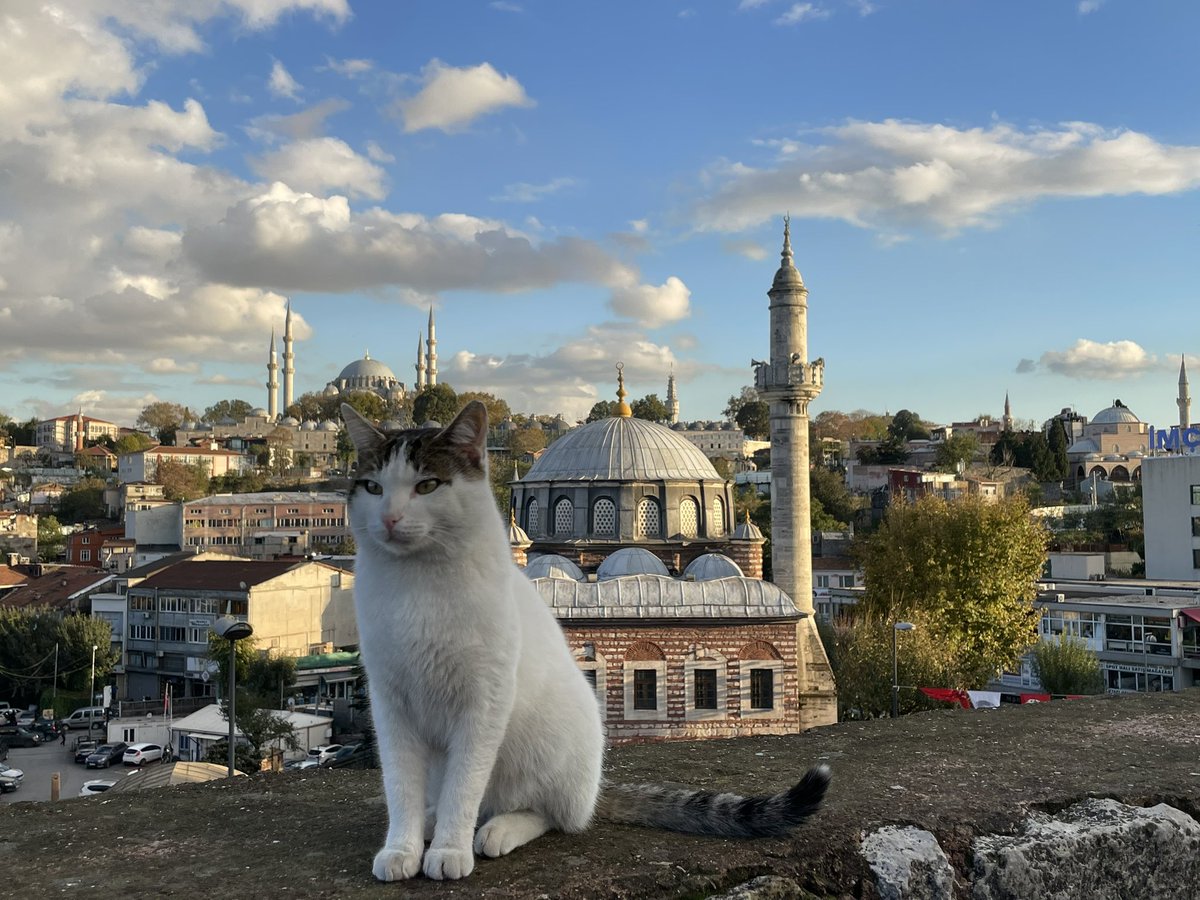 _belinaysultan_'s tweet image. ben ve cektigim bazi fotograflar