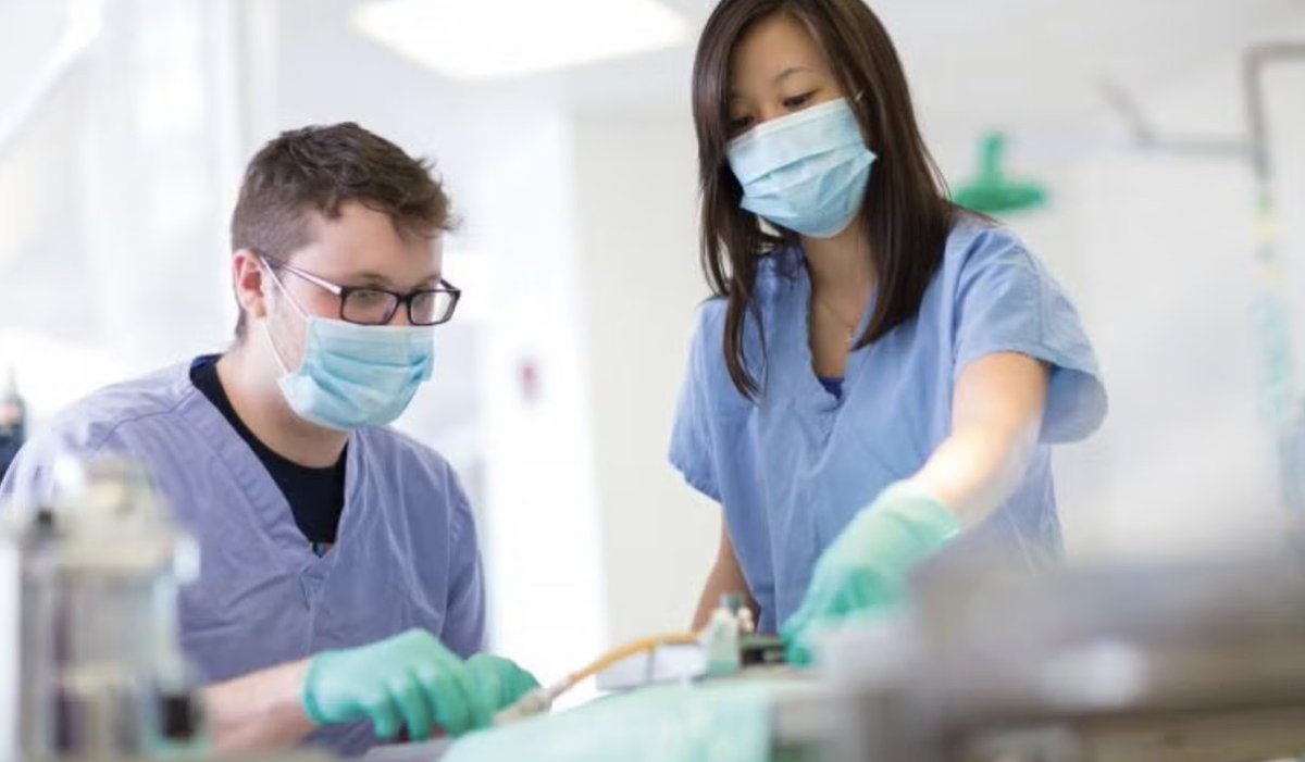 Unlock your potential in science and medicine with us! Dive into research, international experiences and community service that top institutions seek. Within six months of graduation, 97% of our recent grads find success within 6 months. Your journey begins now!