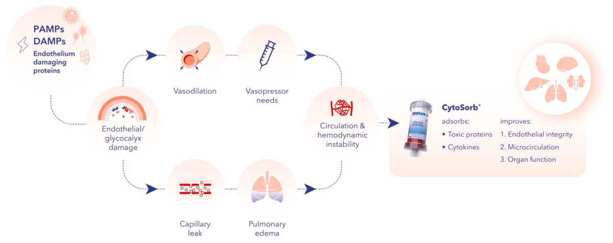 CritCareReviews's tweet photo. Endothelial Protection and Improved Micro- and Macrocirculation with Hemoadsorption in Critically Ill Patients

CCR Journal Watch
https://t.co/Sp06oA6IDG

Get the latest critical care literature every weekend via the CCR Newsletter - subscribe at https://t.co/nitMzacLrj https://t.co/gY1U5bpB9l