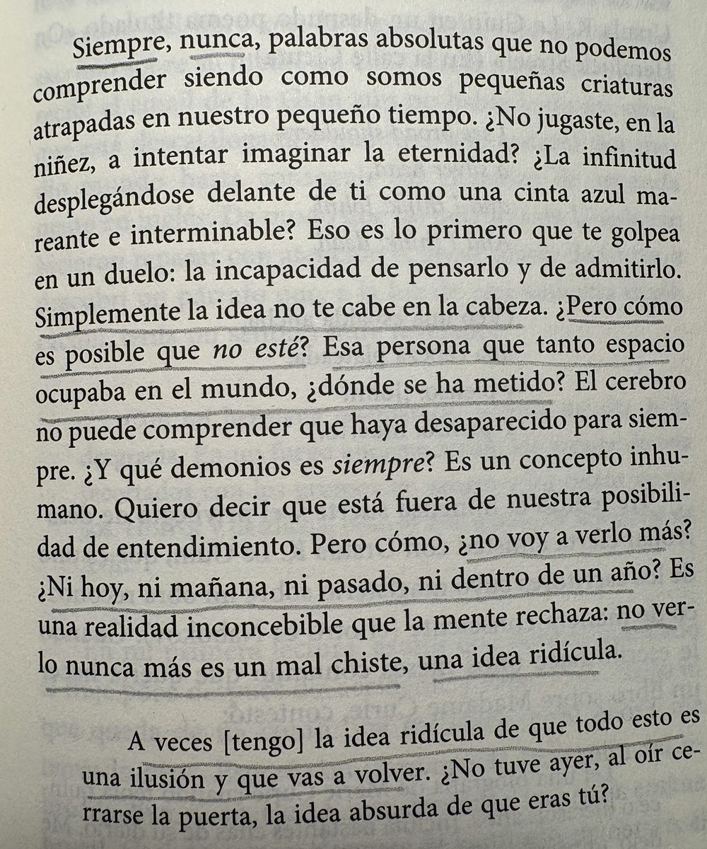 Lucía Ortiz de Zárate (@lortizdezarate) on Twitter photo 