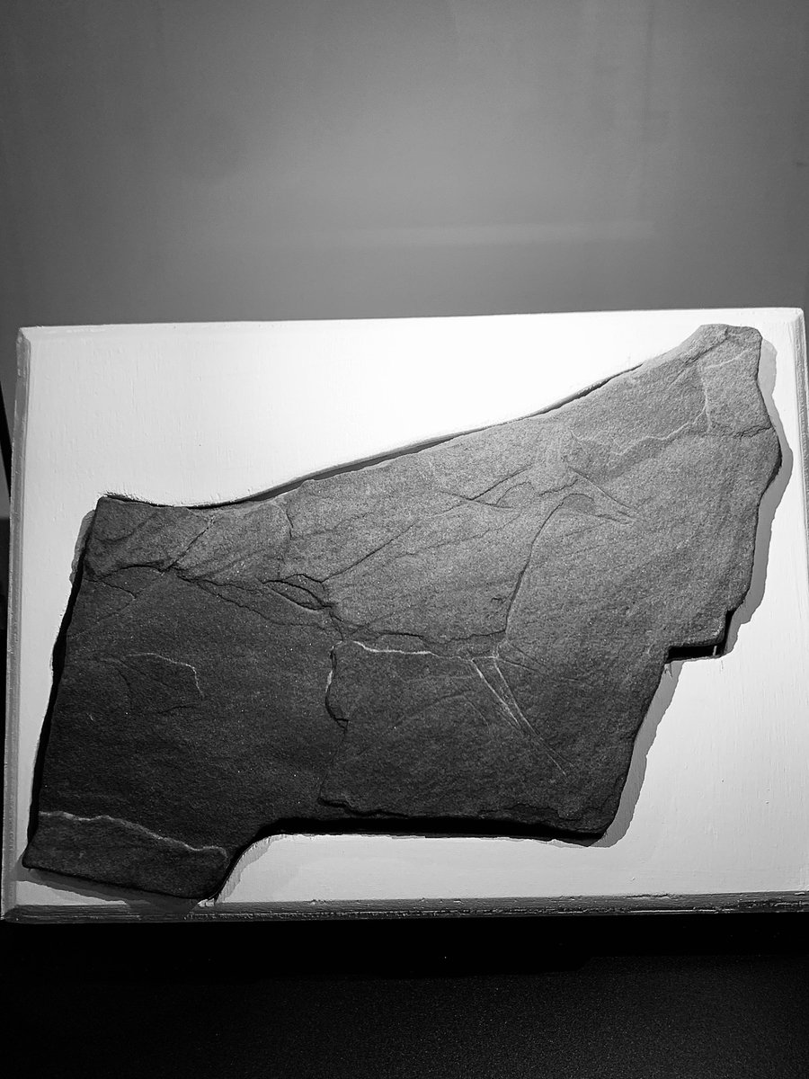 MuseeBasque's tweet image. 👀👉Ce 1er décembre est le 1er dimanche du mois. 
L'entrée du musée est libre.

 Abenduaren 1a hilabeteko lehen igandea da.
Sartzea urririk da.

Musée Basque et de l'histoire de
Bayonne - Baionako Euskal Museoa 
Visit Bayonne