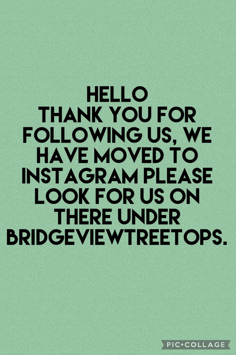 Bridgeview Special School (@bridgeview_hull) on Twitter photo 