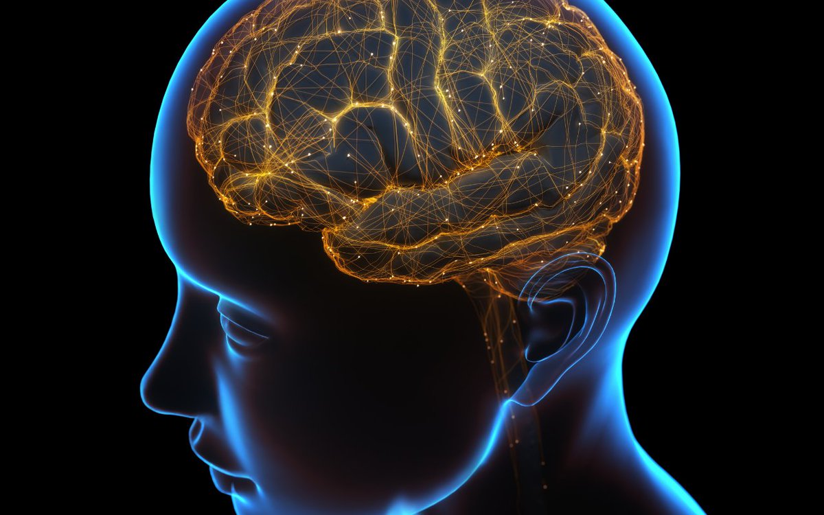 🎯 Targeting brain networks with precision: Our latest study reveals new possibilities for Alzheimer's treatment.

Read more: uthemind.company/resource/publi… #Neuroscience #Research