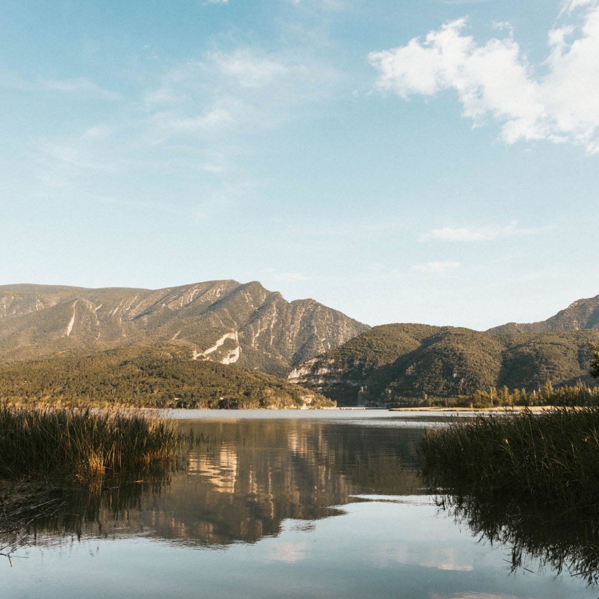 💚Aquest any la nostra campanya de #GreenFriday té un bon motiu al darrere♻️Aprofitem l’ocasió per realitzar una aportació del 10% en cada reserva realitzada, a la Microreserva de Terradets 🏞
#hotelterradets #pantadeterradets #montsec #pallarsjussa #viujussa #visitjussa