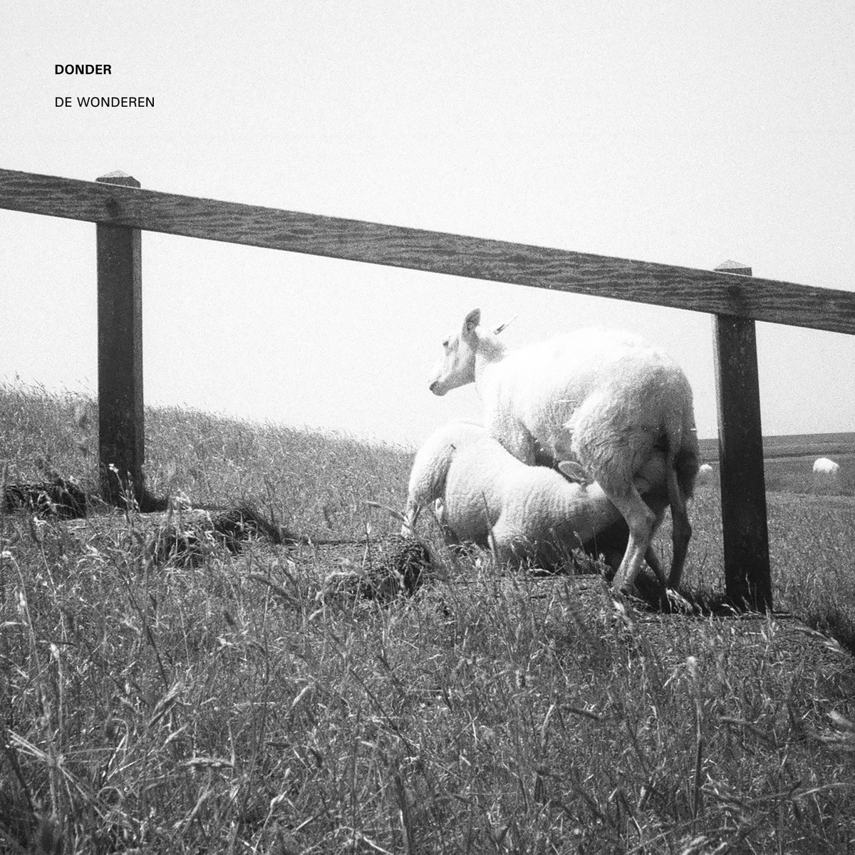 HAPPY RELEASE DAY TO DONDER!
Their fifth album, De Wonderen, is out today. It is a testament to the small wonders found in everyday life, with all its imperfections and unexpected turns.
🎧 werfrecords.ffm.to/dewonderen
#NewMusic #Jazz #trio #belgianjazz #Wonder