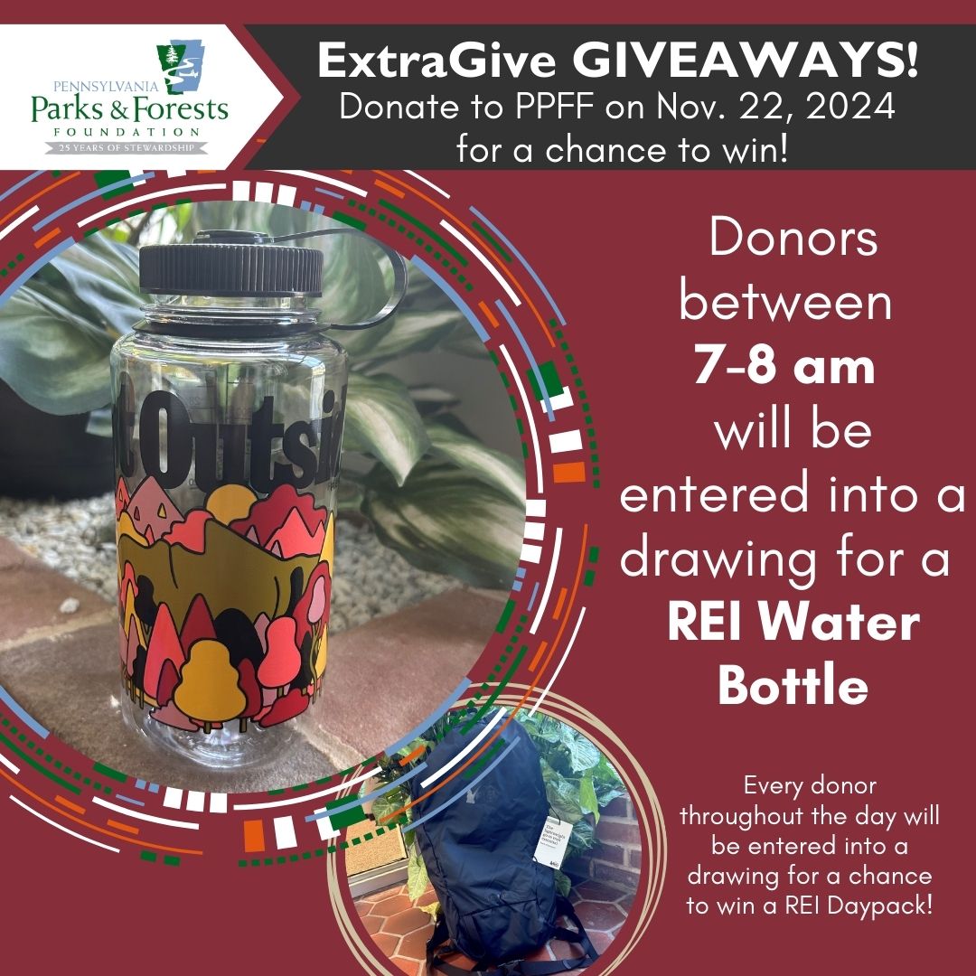 PaPFF's tweet image. Any donations made from 7-8am will get entered into a drawing for this REI #OptOutside Water Bottle. Plus, you will be entered into a drawing for an REI Daypack. You can donate as much as you want, as many times as you want throughout the day. Donate: extragive.org/organizations/…
