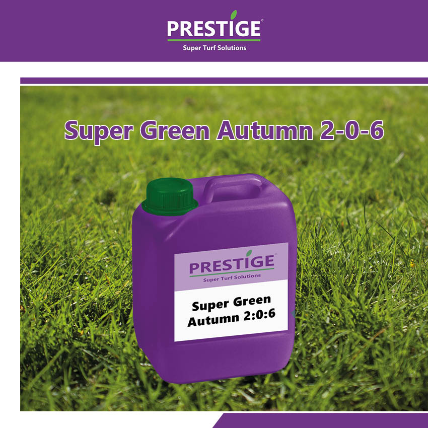 Super Green gives rapid green up (usually within 24 hours) and lasts up to 6 weeks!
ow.ly/Oyp050Ua2re