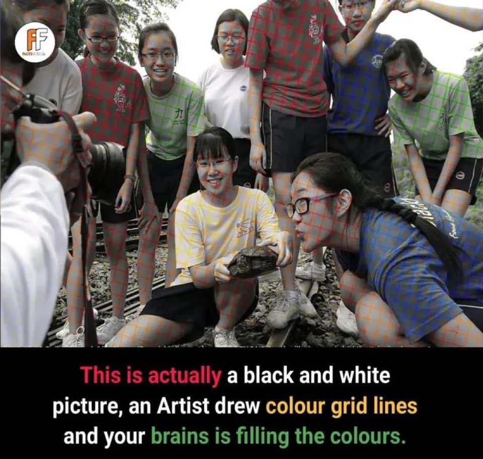 信じられない、白黒写真がカラーに見える…