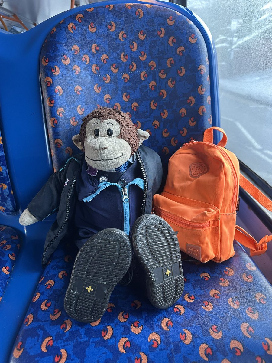 Philip Marsh 🐵 tweet media
