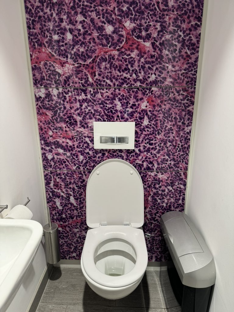 Lecturing at Royal College of Pathologists for the British Association of Uro-pathologists. Going to the loo always a highlight.