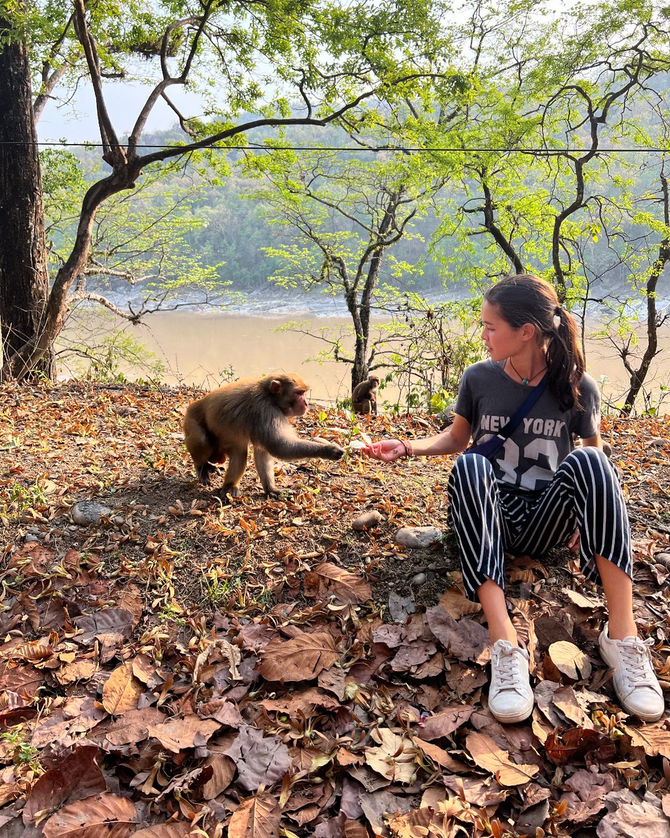 Projects Abroad tweet media