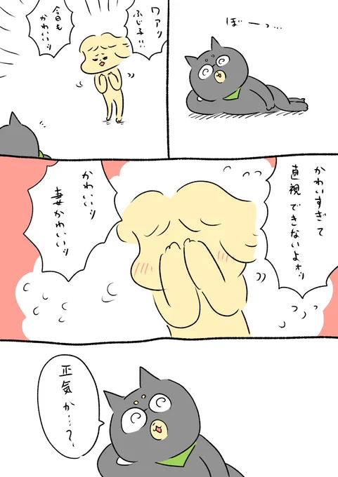 今日の夫 