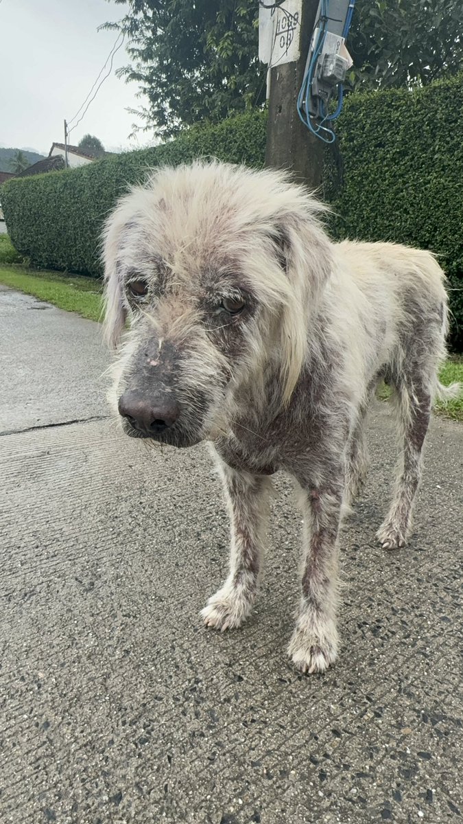 Niall Harbison tweet media