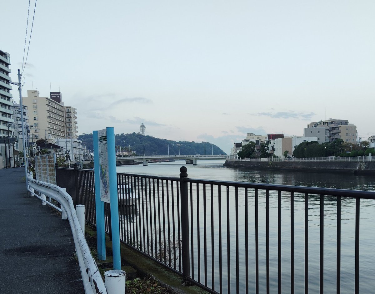 け～えむ tweet media