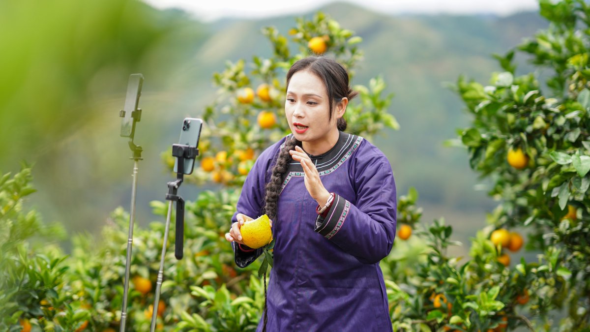 Farmers at a navel #orange farm in Rongjiang county, Guizhou province, are busy picking, sorting, and live-streaming their #harvest. In recent years, the county has leveraged its mountainous resources to encourage navel orange cultivation, boosting farmers' incomes.