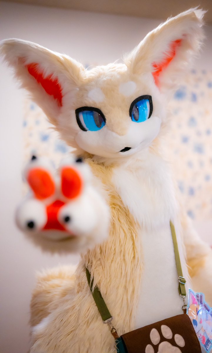 ぴすぴす✌🏻

#FursuitFriday