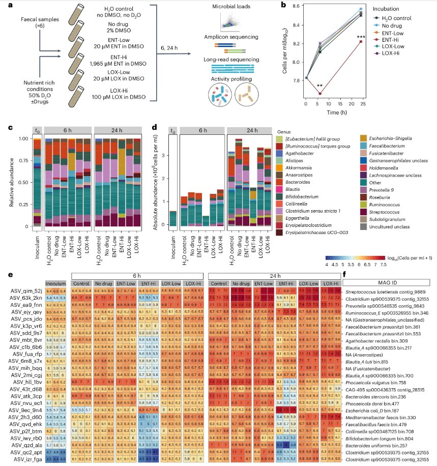 Nature Reviews Microbiology (@naturerevmicro) on Twitter photo #weekendreading 🔬📑
The Parkinson’s disease drug entacapone disrupts gut microbiome homoeostasis via iron sequestration
<a href="/NatureMicrobiol/">Nature Microbiology</a>
nature.com/articles/s4156… #weekendreading 🔬📑
The Parkinson’s disease drug entacapone disrupts gut microbiome homoeostasis via iron sequestration
<a href="/NatureMicrobiol/">Nature Microbiology</a>
nature.com/articles/s4156…