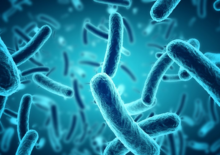 Cymbiotics38458's tweet image. A breakthrough study shows how pairing FDA-approved salicylic acid with a unique water-soluble polysaccharide blend can reduce inflammation caused by Cutibacterium acnes! 
Could this be the future of topical acne treatments?👉tinyurl.com/5n7vnrpc
#AcneCare #InflammationControl