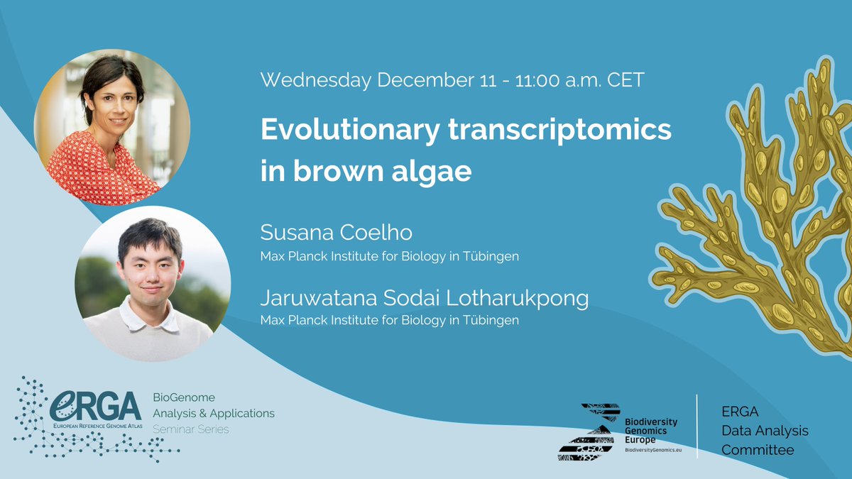 erga_biodiv's tweet photo. 🔊 Save the date! The next #ERGA #BioGenome Analysis and Applications seminar will happen on Wednesday, December 11th at 11:00 CET 

➡️https://t.co/2bvPtkMbw2

 #genomics #algae #evolution #transcriptomics #genomes for #biodiversity https://t.co/a9M9jA6niW
