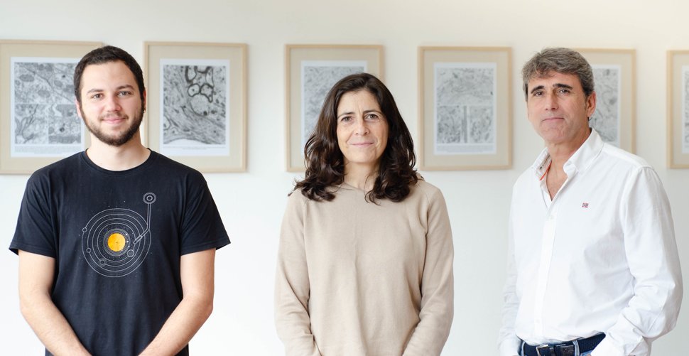 Instituto de Neurociencias UMH-CSIC tweet media