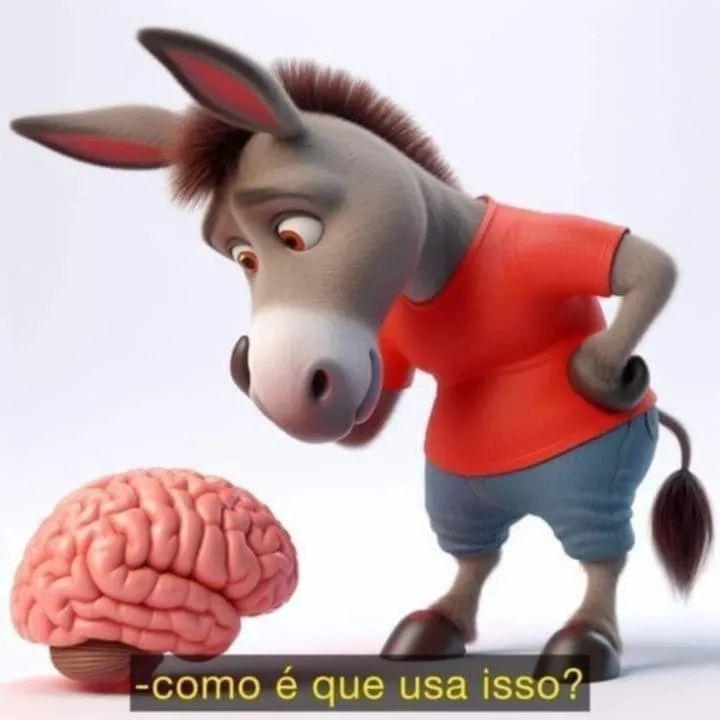 Cida Correa (@cidacorrea54) on Twitter photo 