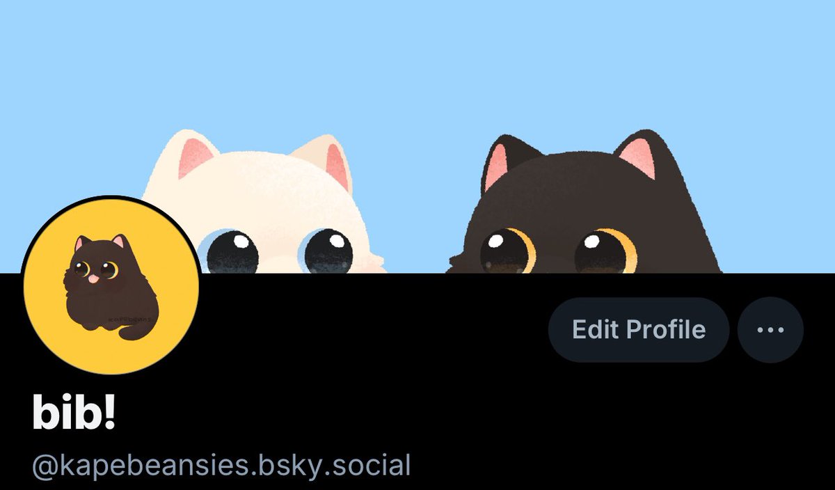 After a super long (I’m very sorry ;;) mental health break, I’m on bluesky!!! Reuploading my older stuff there ;v; and some newer stuff soon! 🐤✨

bsky.app/profile/kapebe…