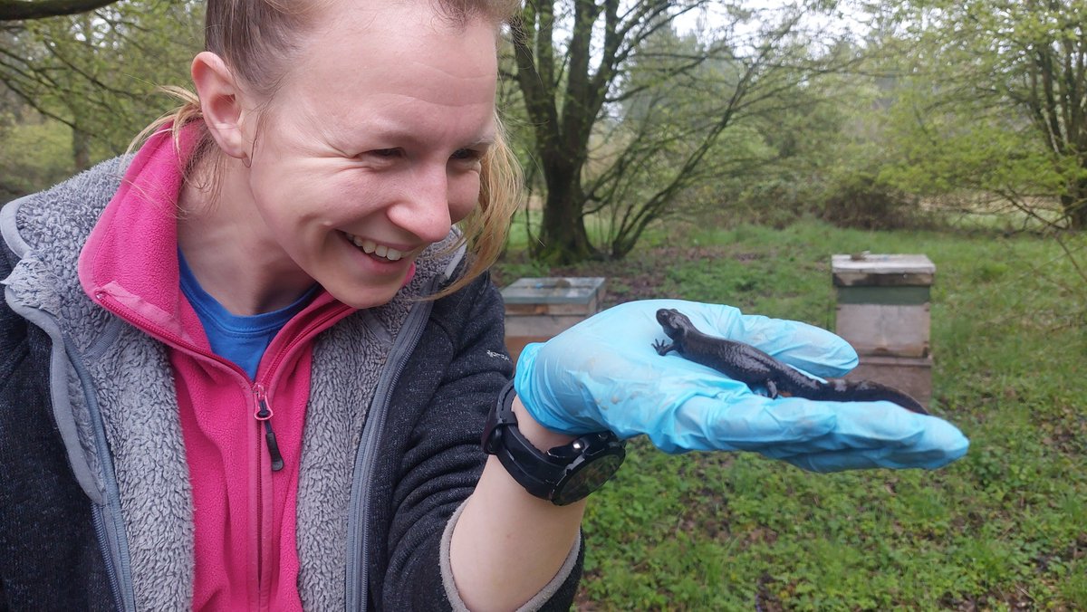NewtPartnership's tweet photo. 📢 We're looking for an experienced and meticulous GIS &amp; Data Officer to work with our partners @Freshwaterhabs, @ARC_Bytes and @NatureSpaceUK. 

The closing date is noon on Monday 16th December. For the full job description and to apply, visit ➡️ https://t.co/B6V13CHH1v https://t.co/x5lztQvh4n
