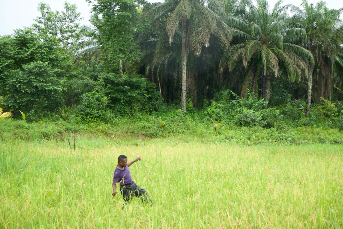 Jack Thompson tweet media