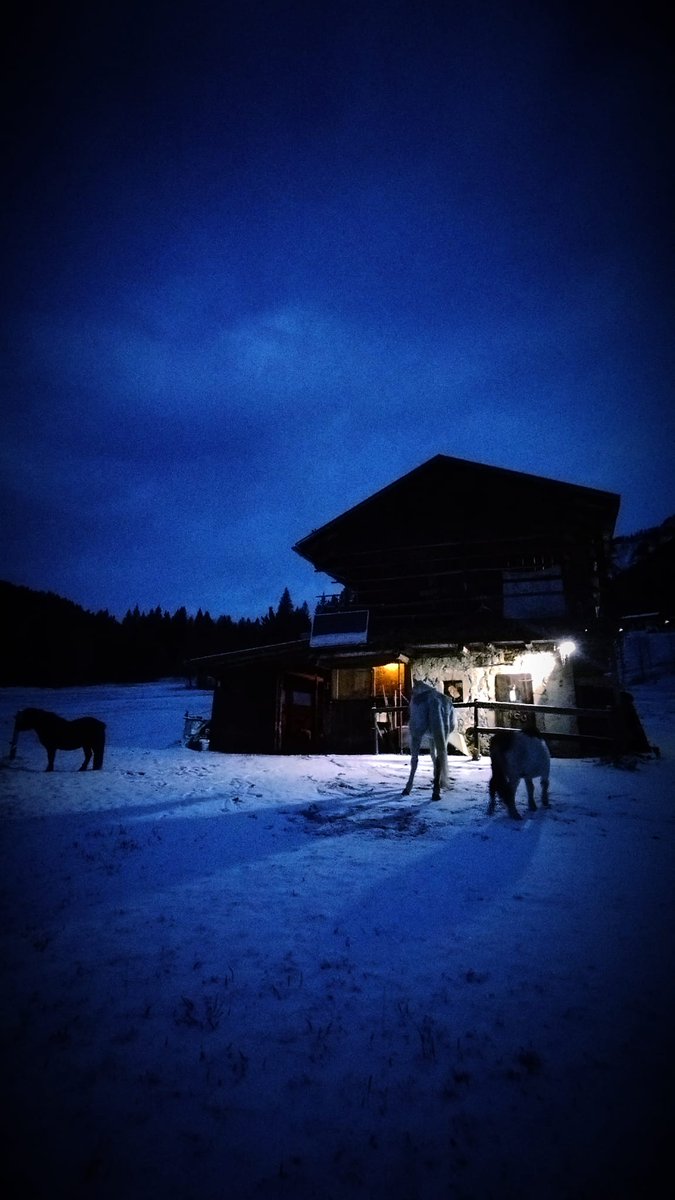 Sauris Zahre BEST TOURISM VILLAGE by UNWTO tweet media