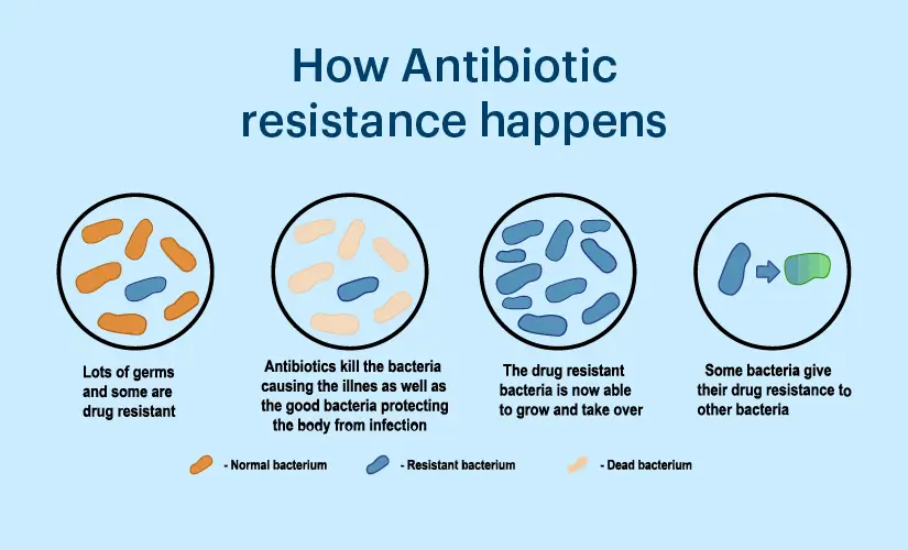 📢 Call for Papers! 📝

🦠Antibiotic resistance is an escalating global challenge?
Mechanisms of Antibiotic Resistance in Bacterial Diseases: Challenges and Solutions 🌍💊
📖 Read more...📝
#Medtwitter #AntibioticResistance #BacterialDiseases #GlobalHealth #Microbiology