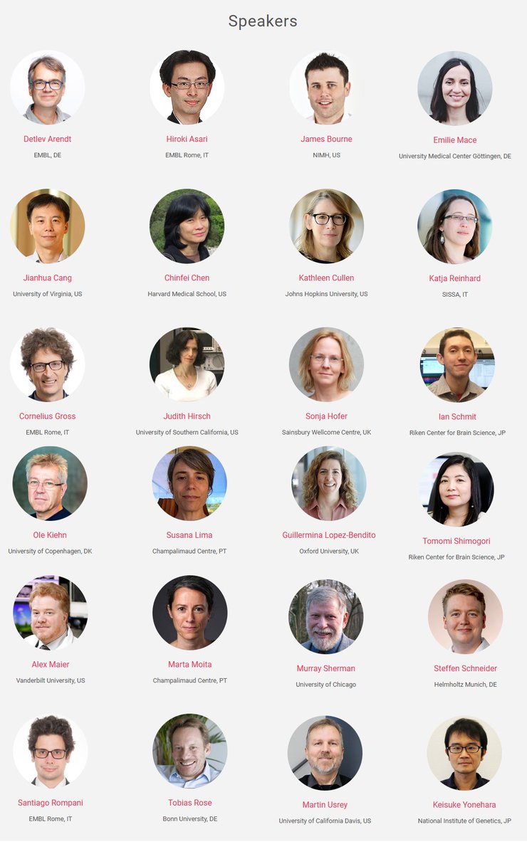 The deadline to the 2nd Subcortical Sensory Circuits conference is now extended to the 30th! See here the amazing list of invited speakers we have lined up: 

RTs appreciated!