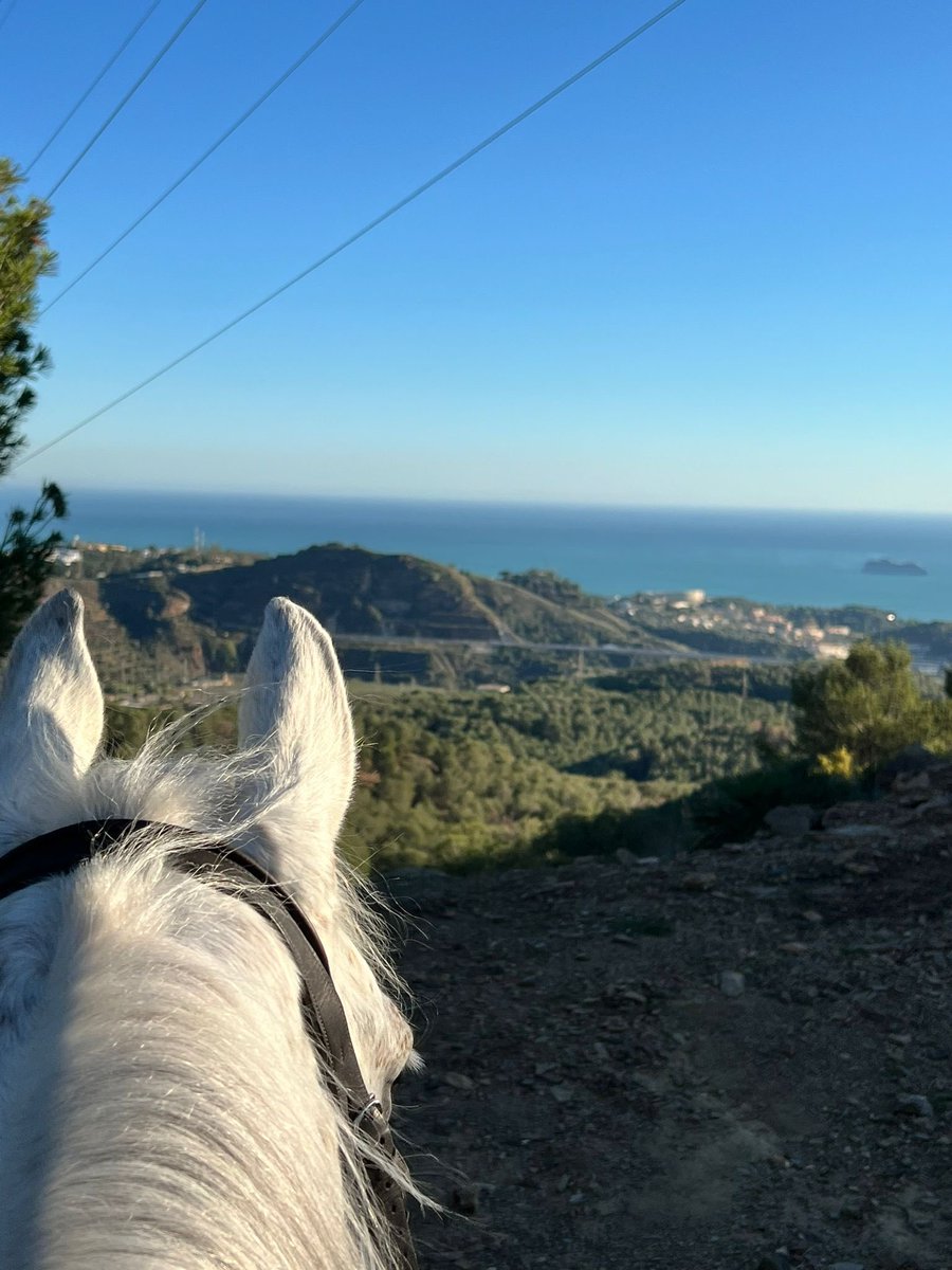 Who wouldn’t like to escape the incoming winter and escape to a warmer climate? 🙌

HASENACHER CERVIN and our Partner Rider Nina Fagerström are currently enjoying the sunshine in Malaga - preparing for the upcoming Tours in Oliva.