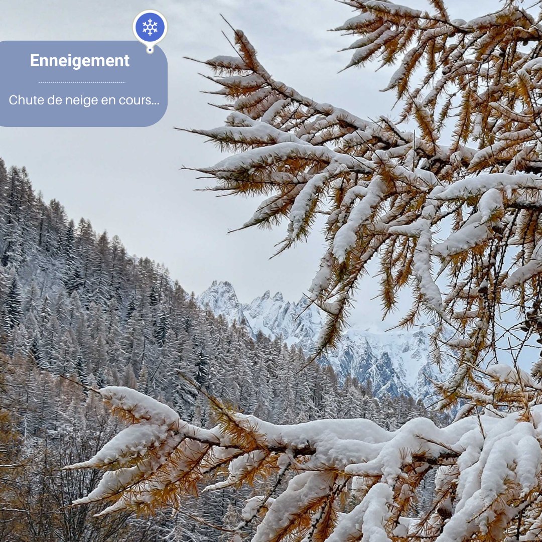 🌨️ Les premiers flocons sont tombés ! C'est l'occasion de contribuer à notre programme de #sciencesparticipatives : Enneigement !
📏 Mesurez chaque jour la hauteur de #neige et renseignez vos observations sur notre plateforme #SPOT
➡️spot.creamontblanc.org/programmes/enn…