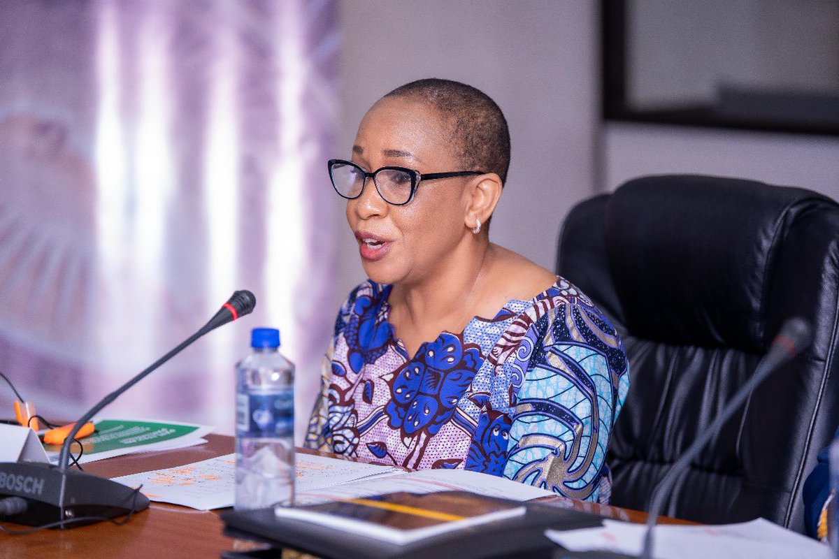 Pan-African Parliament tweet media