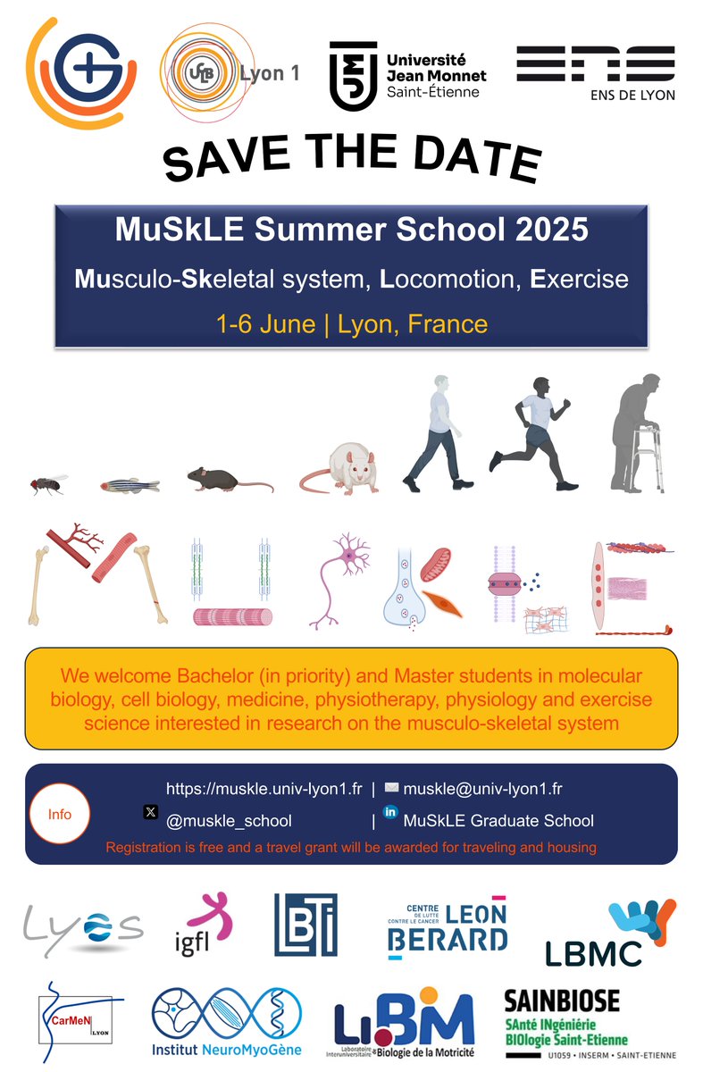 MuSkLE Graduate School (@muskle_school) on Twitter photo SAVE THE DATE!
Fourth edition of MuSkLE Summer School
We welcome Bachelor (in priority) and Master students on June 1-6, 2025.
Infos and registration: muskle.univ-lyon1.fr
Keynote speakers are coming soon.
<a href="/UnivLyon1/">Université Lyon 1</a>
@ENSdeLyon
<a href="/Univ_St_Etienne/">Université Jean Monnet Saint-Étienne</a> SAVE THE DATE!
Fourth edition of MuSkLE Summer School
We welcome Bachelor (in priority) and Master students on June 1-6, 2025.
Infos and registration: muskle.univ-lyon1.fr
Keynote speakers are coming soon.
<a href="/UnivLyon1/">Université Lyon 1</a>
@ENSdeLyon
<a href="/Univ_St_Etienne/">Université Jean Monnet Saint-Étienne</a>