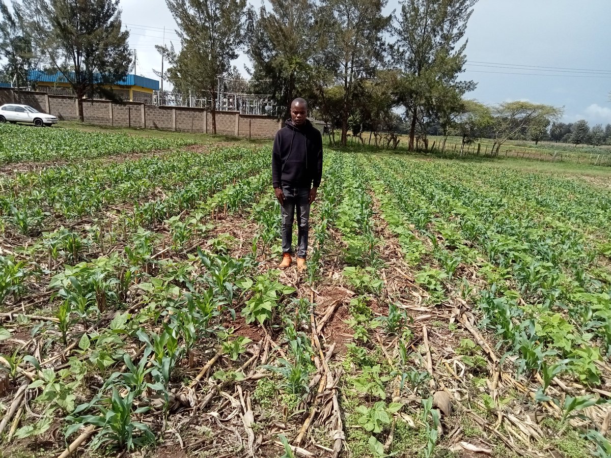 Env_vinny's tweet photo. Conservation agriculture means less work because it is not necessary to plough the soil and weed as many times. It suppresses weeds and reduces erosion. It improves the soil structure, ability to retain water, organic matter content and contribute to climate action https://t.co/4XLiBLDHk1