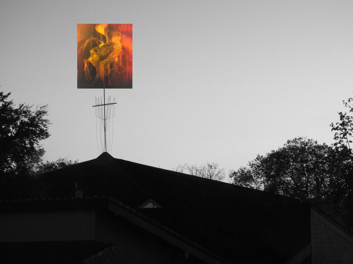 We've got news

superpolar.bandcamp.com/community