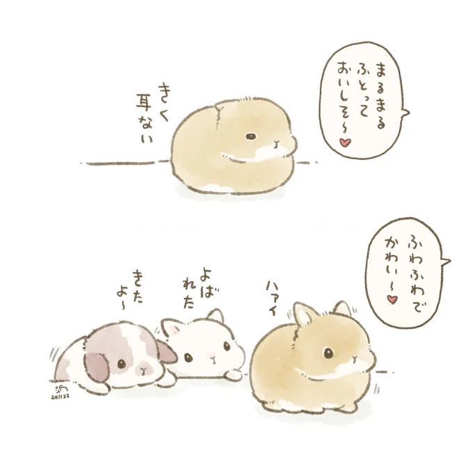 うさぎさんは人語をわかっておられるぞ 