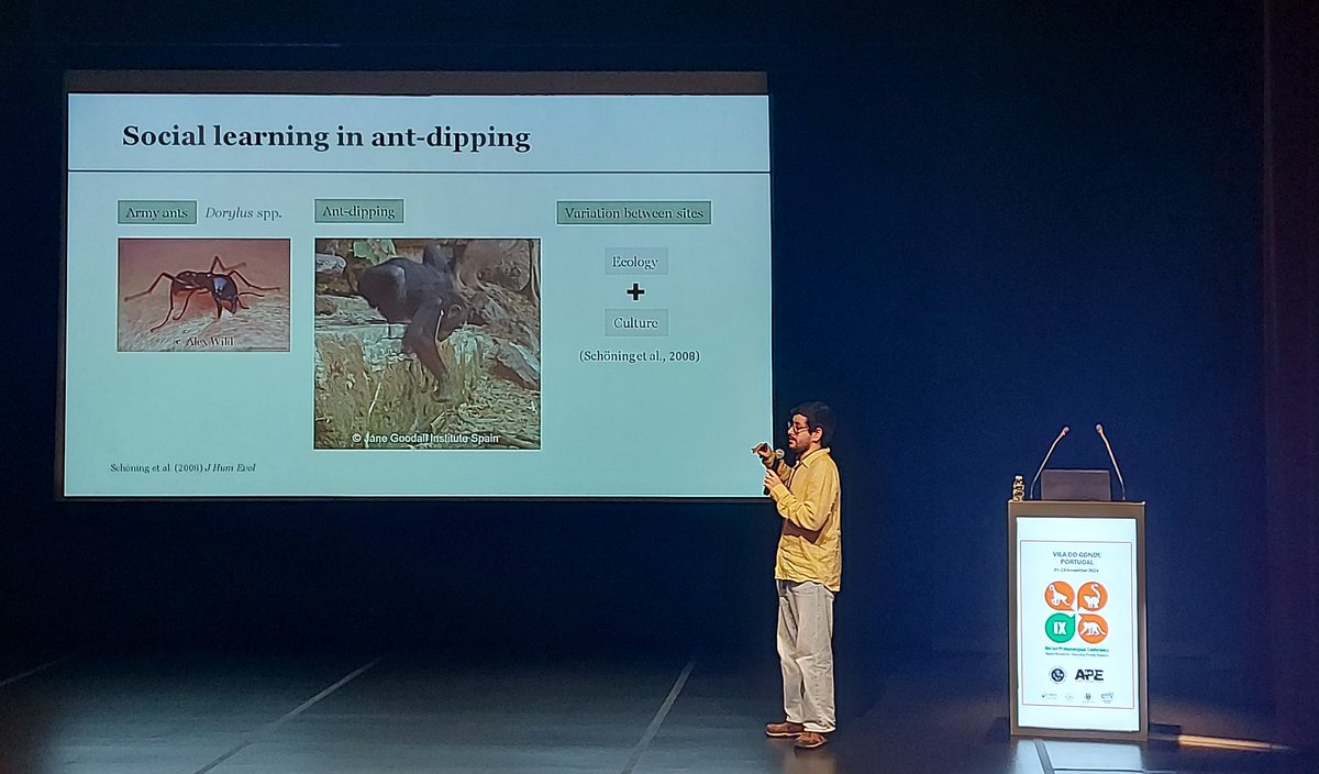 Great talk by <a href="/sanchezmegias_/">Andreu Sánchez Megías</a> from <a href="/JaneGoodallEspa/">Jane Goodall España</a> on chimpanzee social learning opportunities and tool transfer in the context of ant-dipping at Dindefelo, Senegal #IXIPC <a href="/app_portuguese/">APP - Portuguese Primatological Association</a> <a href="/APEspain/">APE</a>